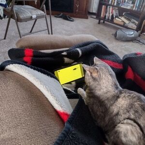 HUGE SALE ON EVERYTHING